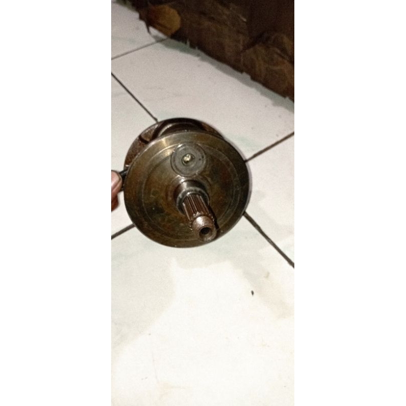 Kruk as tiger ori copotan