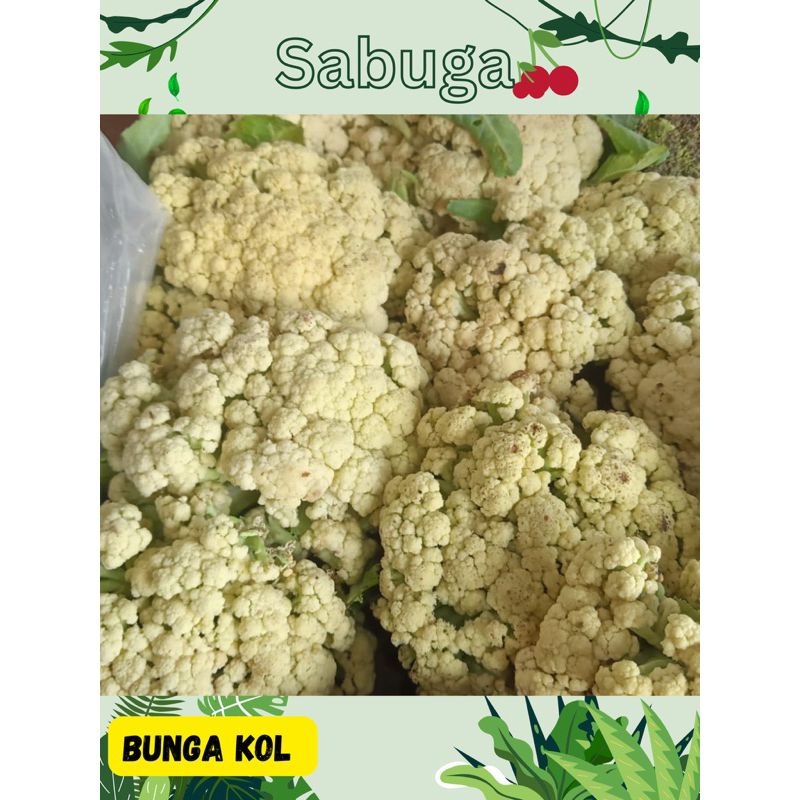 

KEMBANG KOL/ BUNGA KOL 500gr