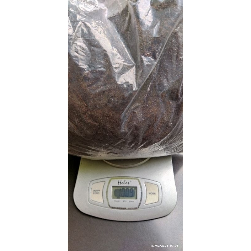 Kotoran walet Original