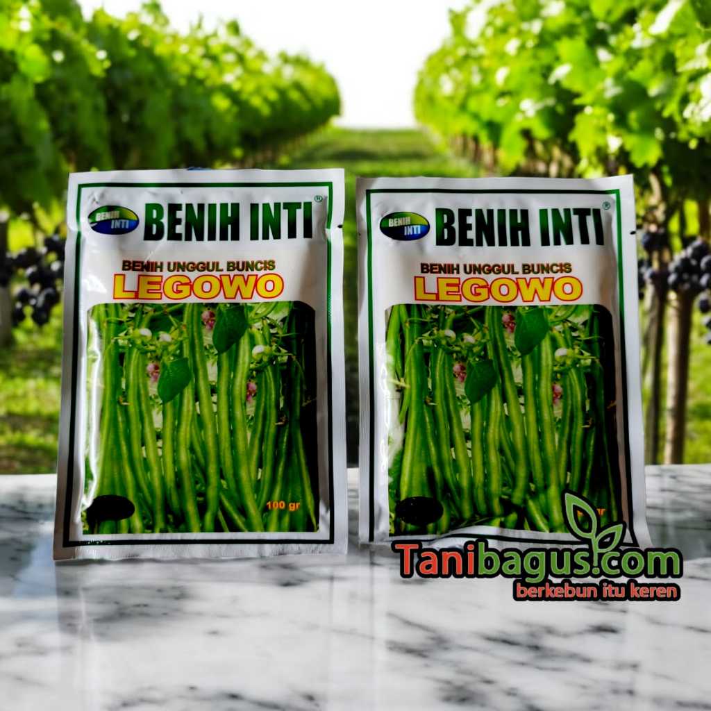 BENIH UNGGUL BUNCIS LEGOWO 100 GRAM - BENIH INTI