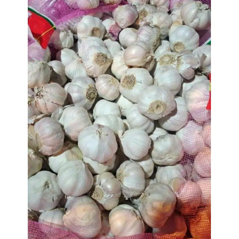 

bawang putih sincho 250g
