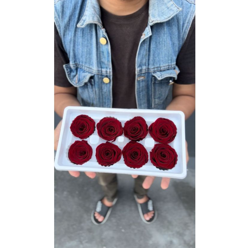 Preserved Rose 5cm