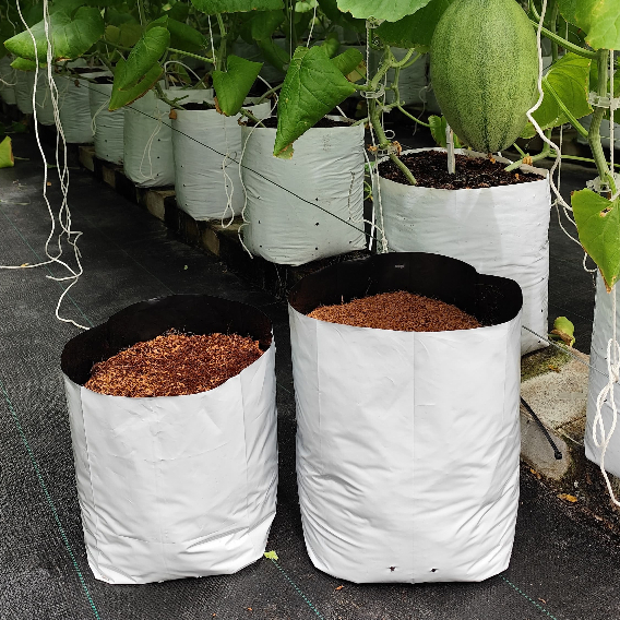 Polybag Putih Hitam 40x40 / 35x35 / 30x30 Polybag Tanaman / Polybag Putih Hitam 1 kg