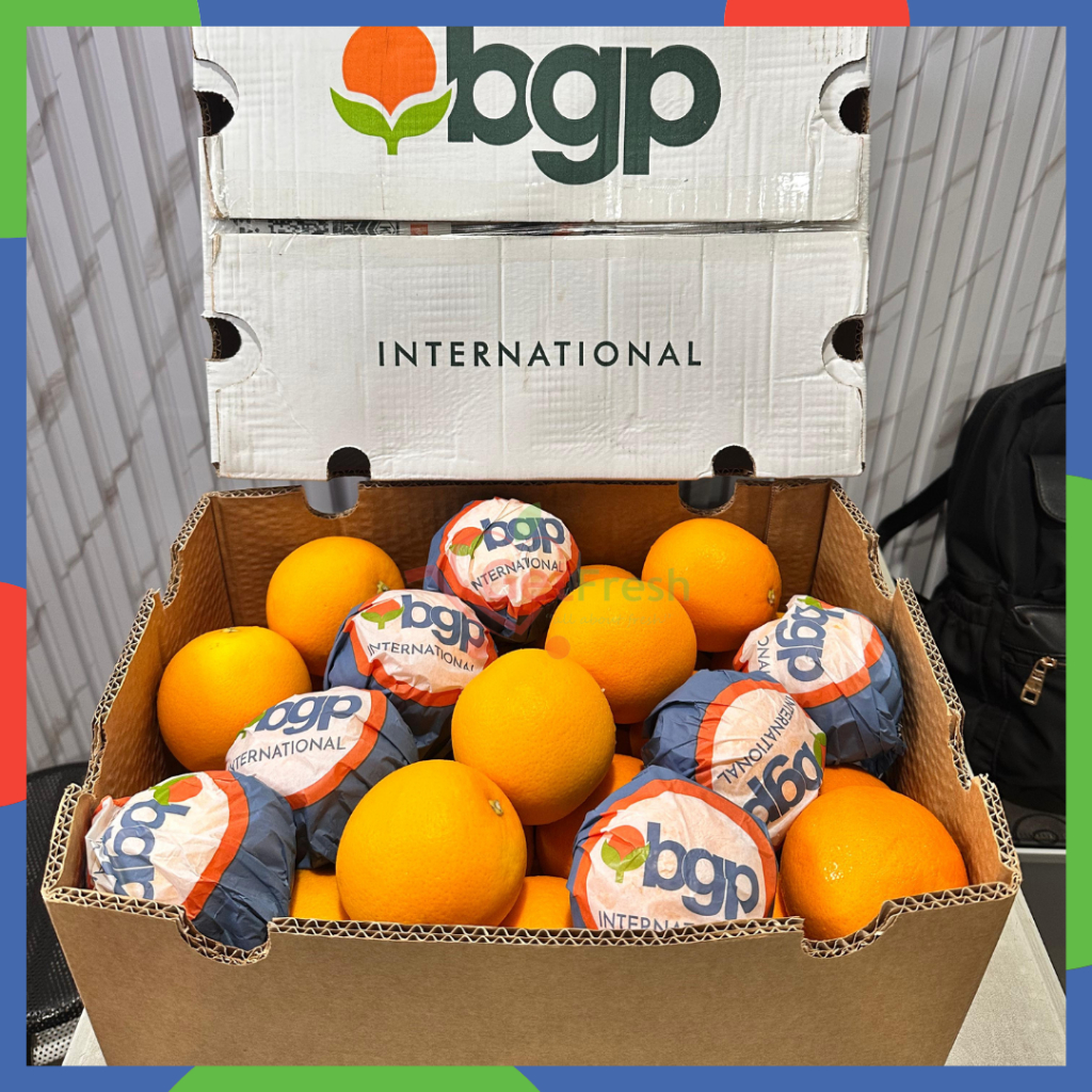 

Jeruk Valencia Dus -+14kg