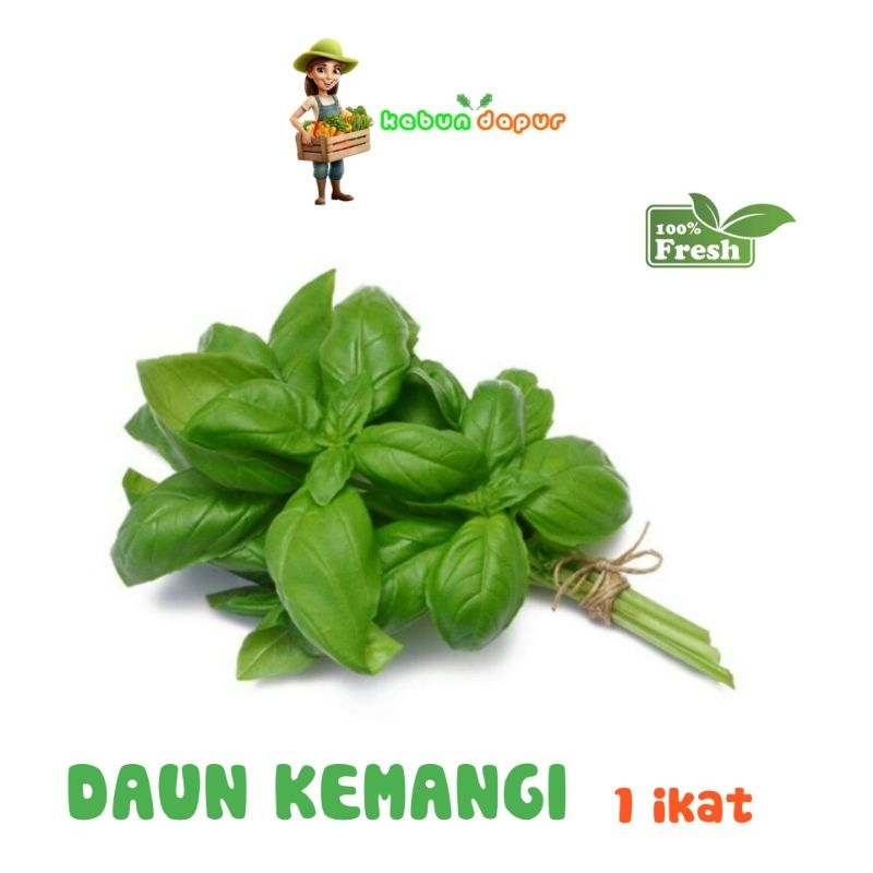 

KEMANGI FRESH Harga per 1 ikat -Kebun Dapur-