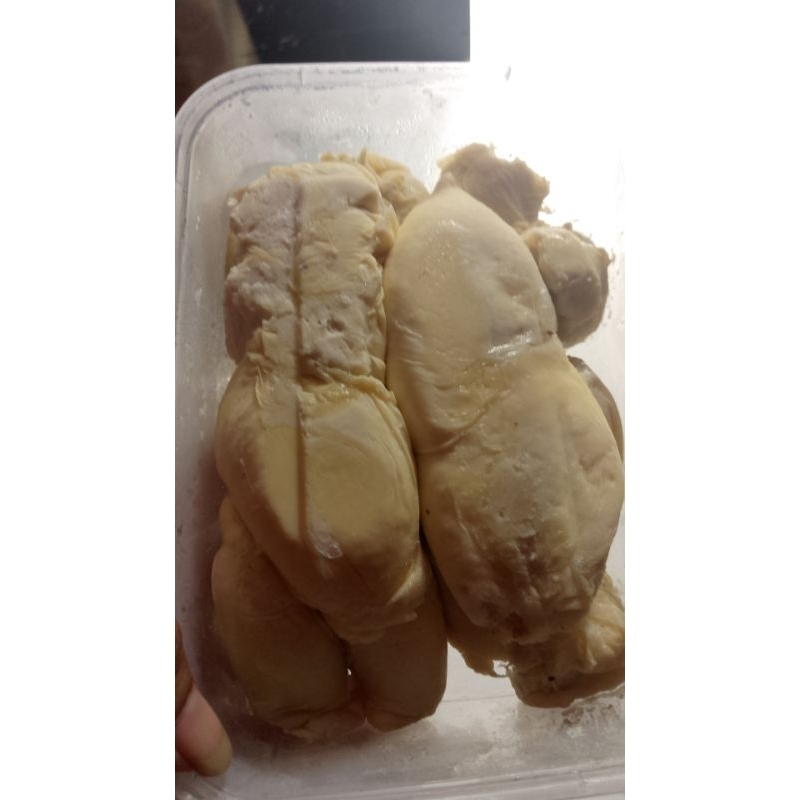 

durian asli sibolga
