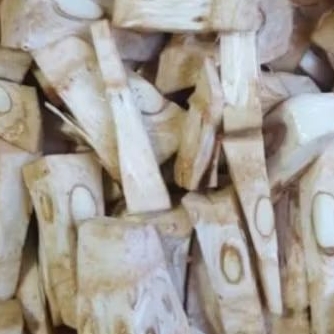 

nangka muda potong 200 gram kemasan vacum murah banget