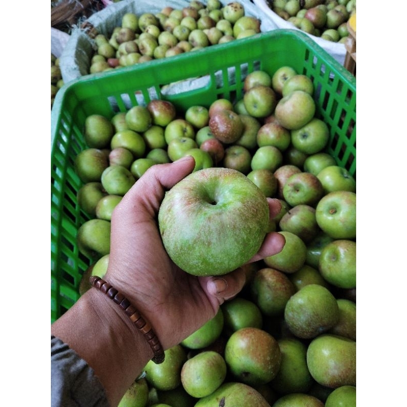 

apel romebeauty super isi 5-8