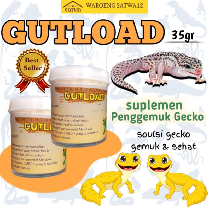 (BELI5GRATIS1) Gutload jangkrik ulat kecoa dubia gutlot gecko leopard geko baby salva bearded dragon