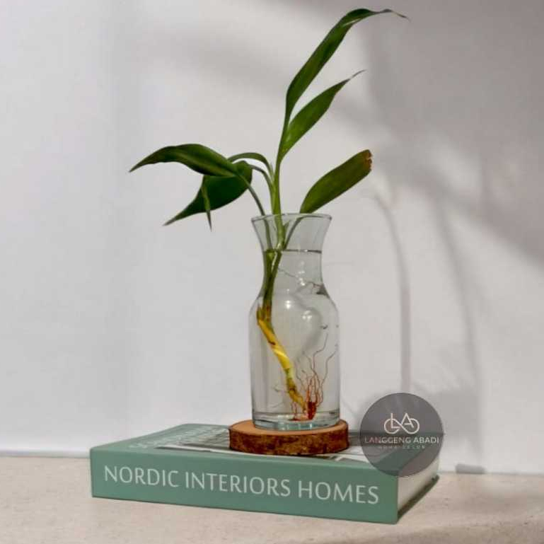 Vas Bunga Tanaman  Kaca Karafe | Vas Kaca Estetik | Vas Kaca Carafe | Vas Kaca Bunga Pot Tanaman