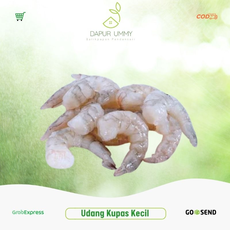 

UDANG • Udang Kupas Sedang 500g - 1kg