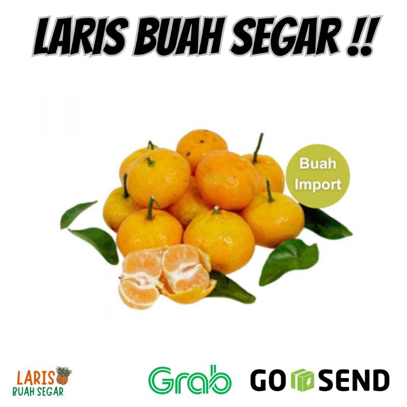 

BUAH JERUK SANTANG DAUN MANIS BIRMA 200 GRAM