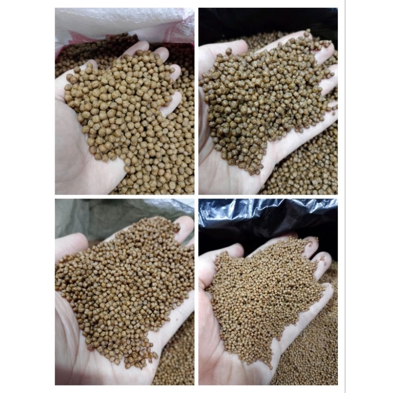 PAKAN 781 // PAKAN IKAN GURAME, NILA, PATIN, LELE // PREMIUM // 1 KG