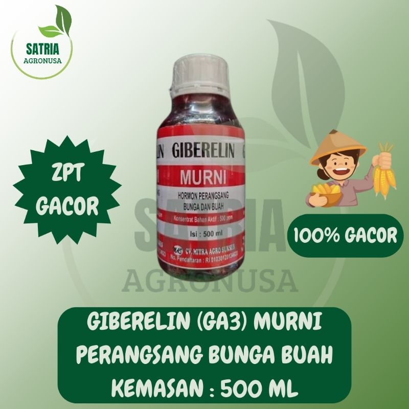 GIBERELIN MURNI 500 ML - MURMER KUALITAS PRIMA