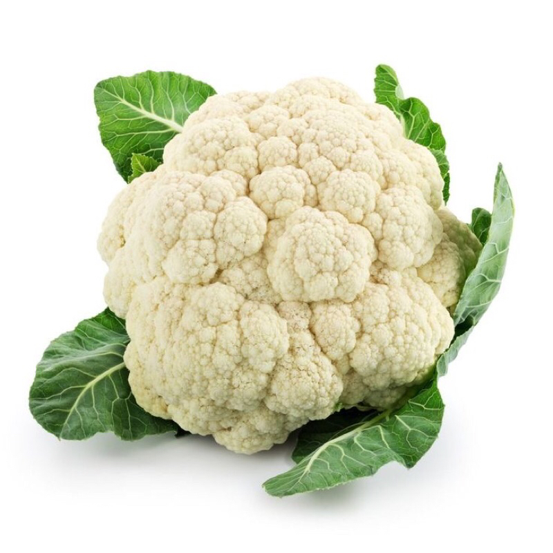 

BUNGA KOL 500Gram/1Kg