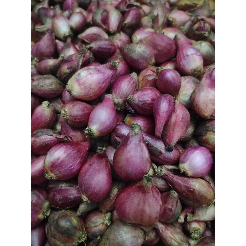 

RB Bawang Merah Brebes Segar 1kg
