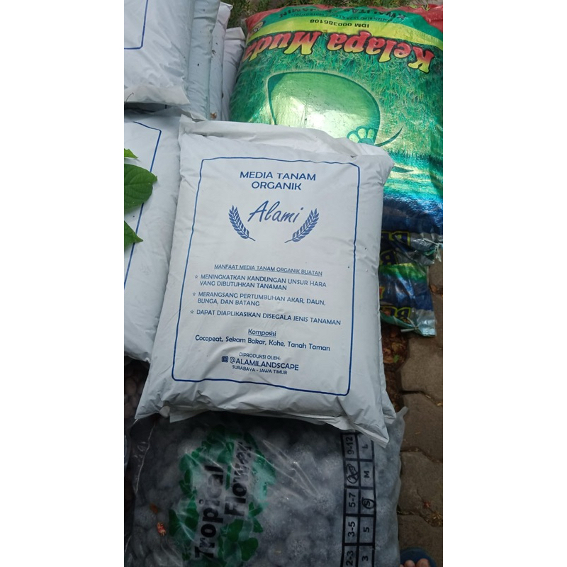 media tanam alami daunmas tanah subur pupuk sekam bakar