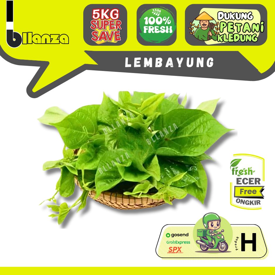 

Bllanza | Lembayung / Daun Kacang — Sahabat Makan Sayur ECER (H)
