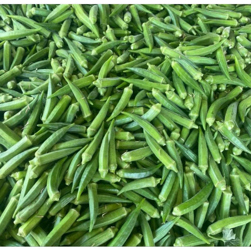 

Grade A 1kg sayur buah Okra Segar Sayur Sehat dan Kaya Serat Pilihan Terbaik untuk Masakan Sehat okra hijau okra segar okra enak