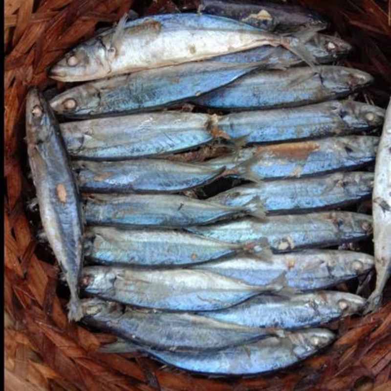 

Ikan layang pindang fresh 10pcs