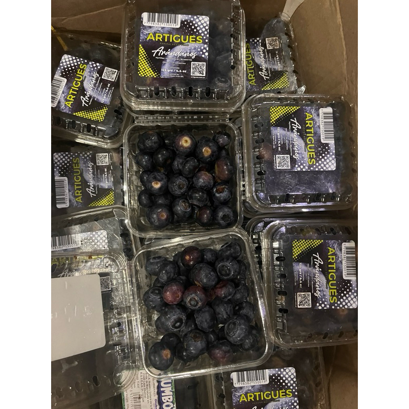 

Blueberry 125 gram per pack bukan frozen manis segar enak