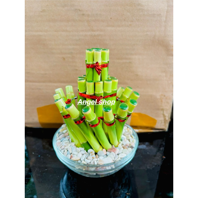 PAKET Bambu Hoki/Bambu Lucky Air Mancur+Pot Keramik