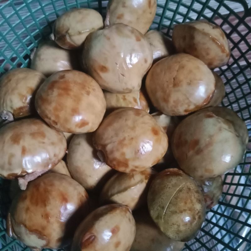 

[Ready] jengkol tua berat 1000 gram