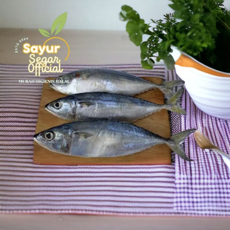 

Ikan Kembung Banjar Segar 500gr - KIRIM INSTAN