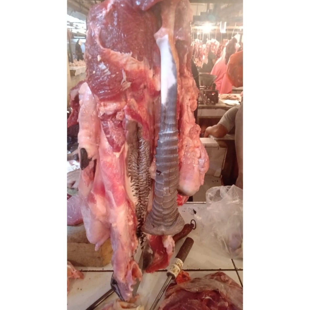 

DAGING PALA SOP/CINCANG TIMBANGAN 1 KG