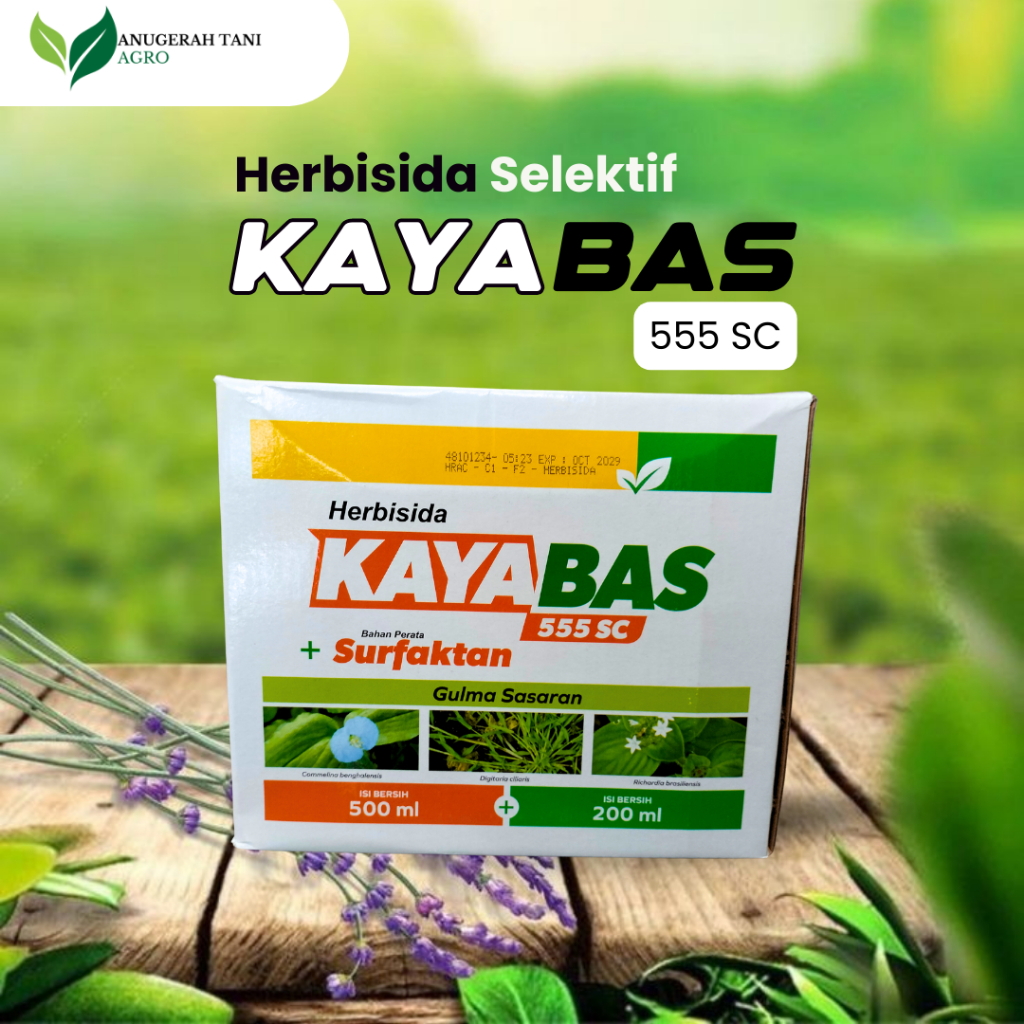 KAYABAS 555 SC Herbisida Selektif Sistemik untuk Tanaman Jagung