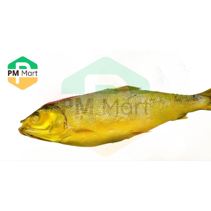 

Bandeng Presto 1 Piece
