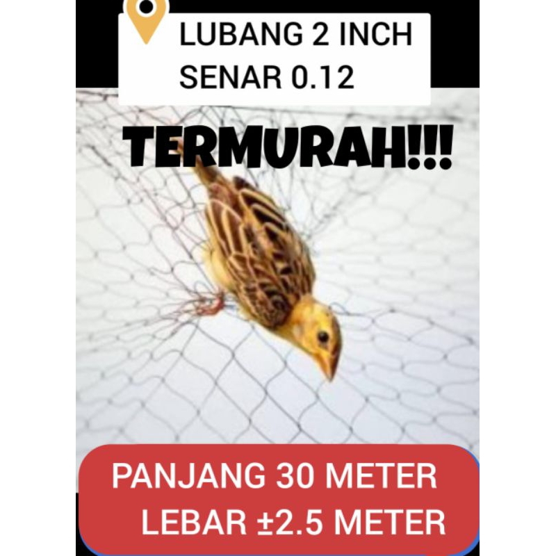 JARING BURUNG KECIL LUBANG 2 JARI / 2 INCH PANJANG 30 METER LEBAR 2.5 METER JARING HITAM JARING BURU