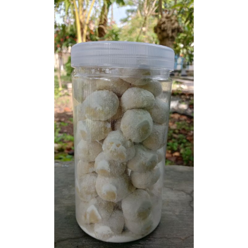 

PROMO KUE BOLA SALJU
