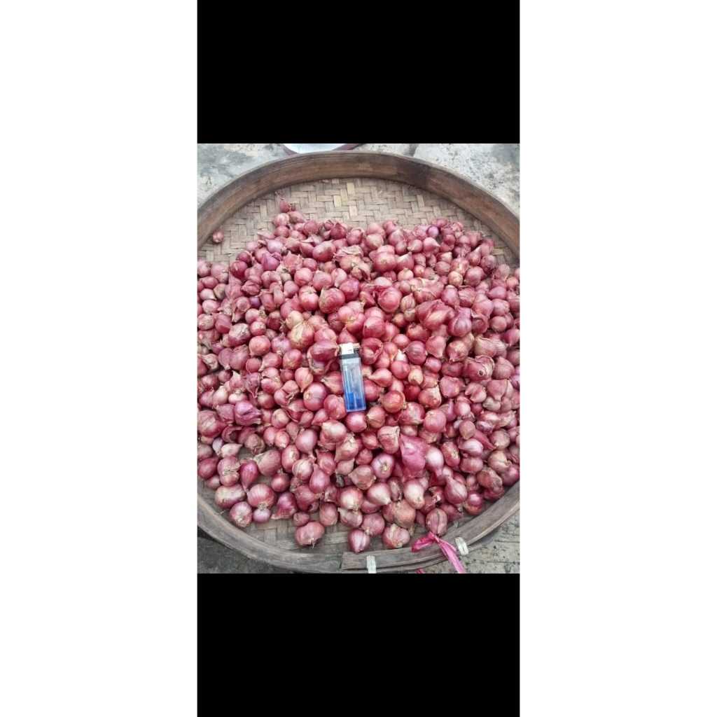 

bawang merah/brambang 1kg besar ukur gede