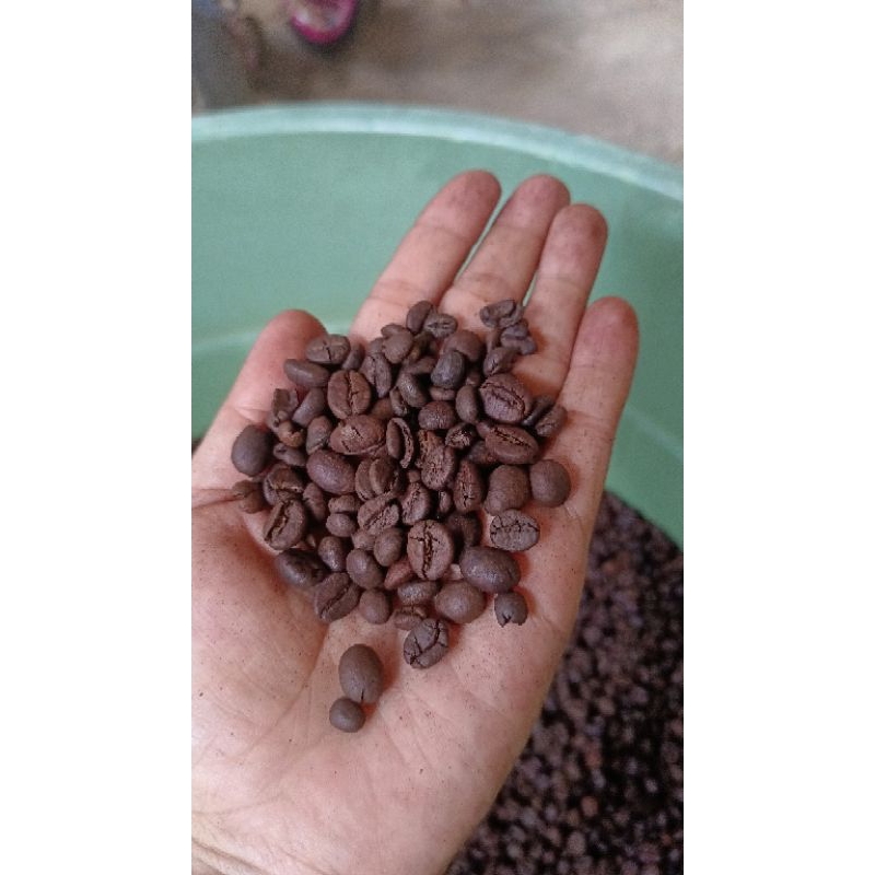

kopi lampung, kopi robusta, kopi asli, papa coffee, 100Gr, Kopi Murni