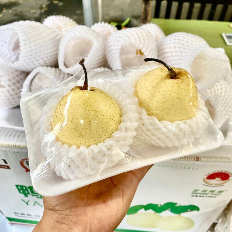

Buah Pir Segar kemasan isi 2 buah Paket Hemat
