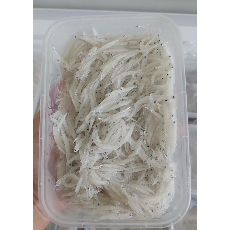

ikan teri basah mpasi