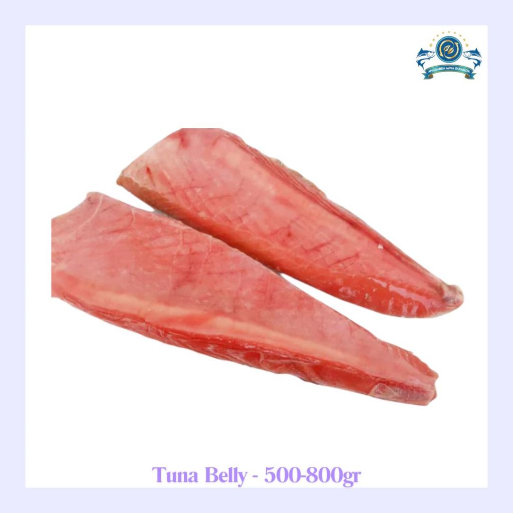 

Frozen Yellowfin Tuna Belly 500-800gr