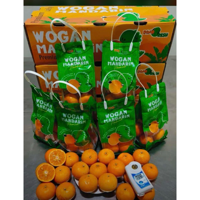 

Jeruk Wogan mandarin kantong