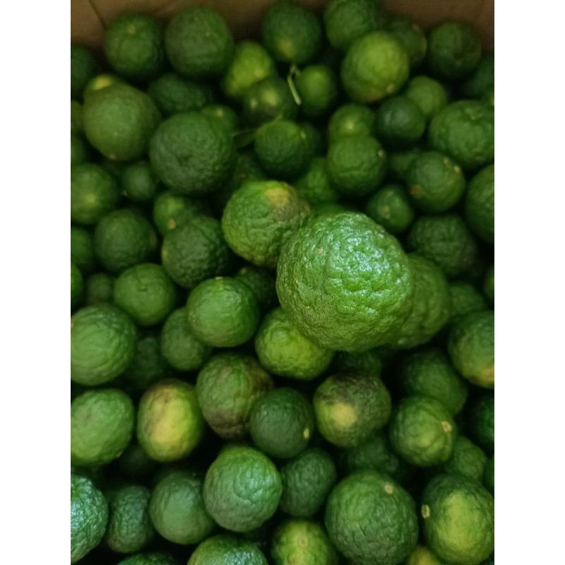 

Jeruk Sambal / Jeruk Limau 250gr