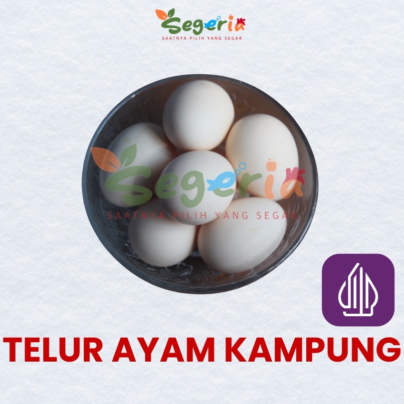 

TELUR AYAM KAMPUNG