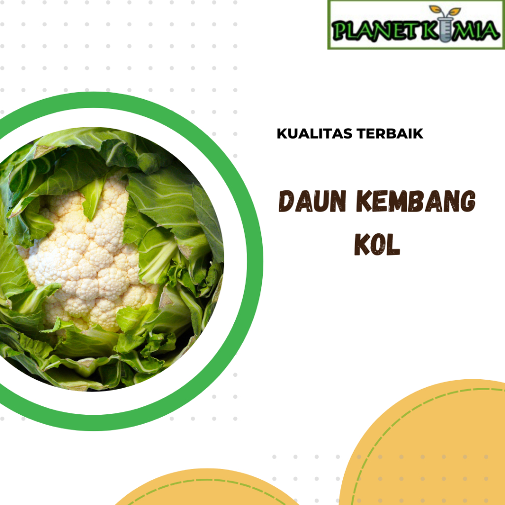 

dried,serbuk daun kembang kol best product
