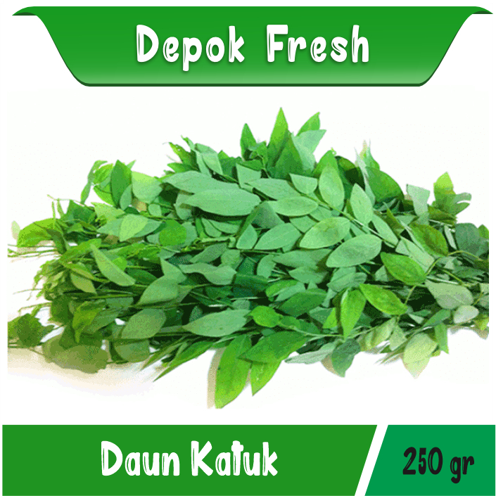 

SAYUR DAUN KATUK SEGAR BERKUALITAS 1 IKAT