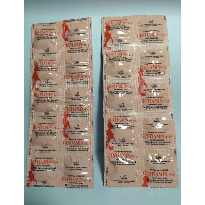 ECER 10 TABLET GESTIAMIN Plus | Suplemen Vitamin Ibu Hamil & Menyusui