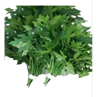 

INSTAN - DAUN PEPAYA JEPANG 250GRAM