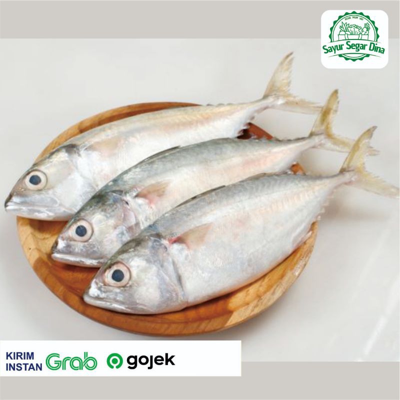 

Ikan Kembung Segar - 500 gr