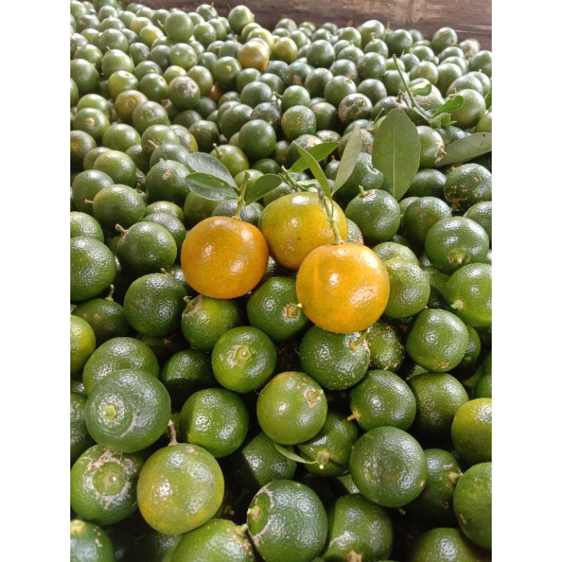 

jeruk Sunkist 1kg