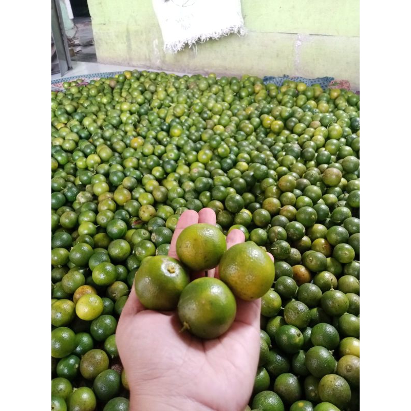 

jeruk kasturi/jeruk peras 1kg