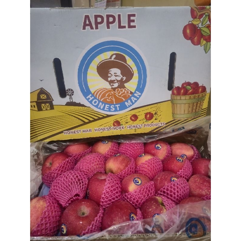 

Apel fuji honest man kemasan dus 16kg