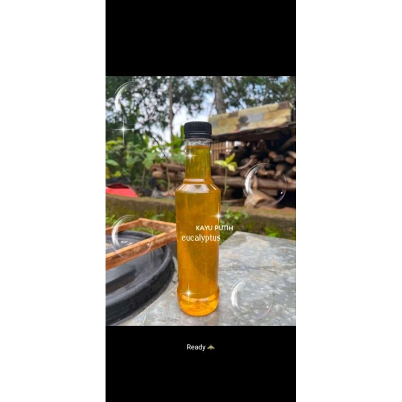 

Madu Hutan Ecalyptus (Nektar)